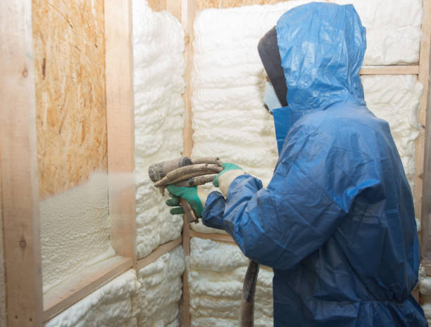 Professional Insulation Services in South Waverly, PA